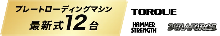 プレートローディングマシン最新式12台 TORQUE HAMMER STRENGTH DYNAFORCE